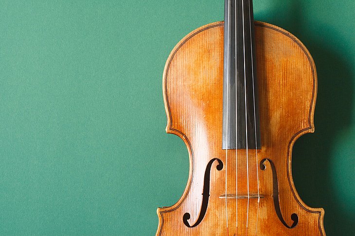 Violine vor grünem Hintergrund