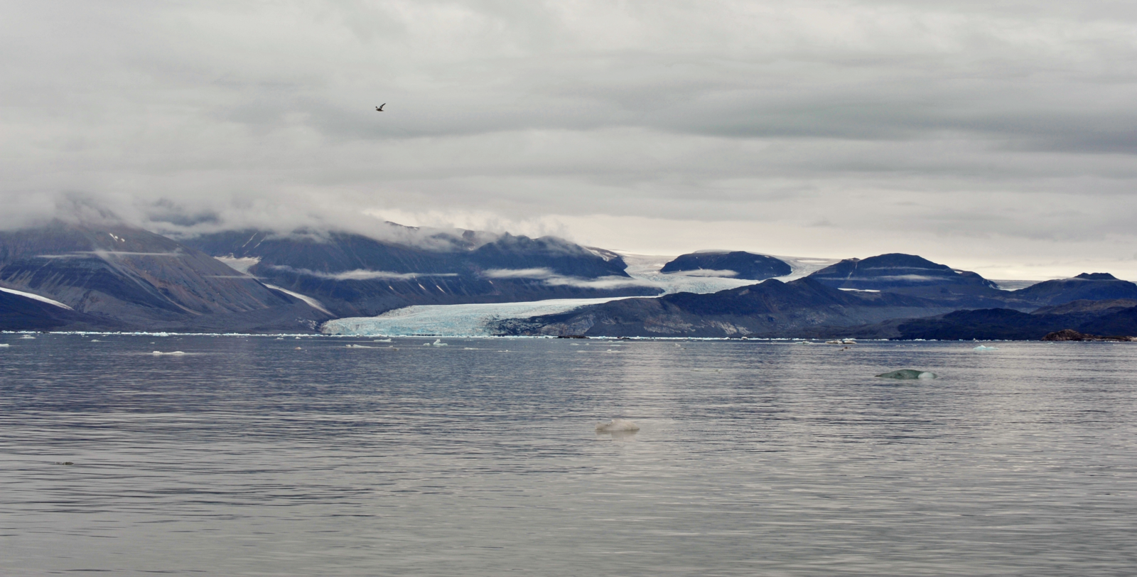 Melting glacier in Kongsfjord ©L.A. Schick, ITAW