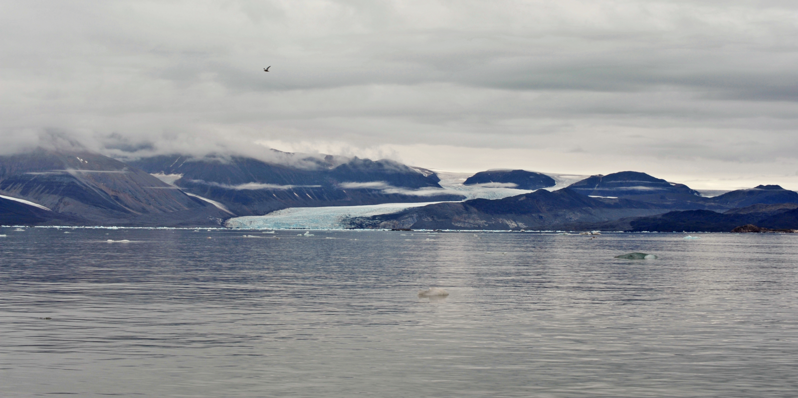 Abschmelzender Gletscher im Kongsfjord