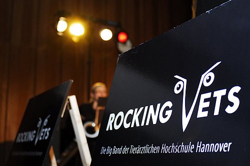 Aufsteller der Rocking Vets