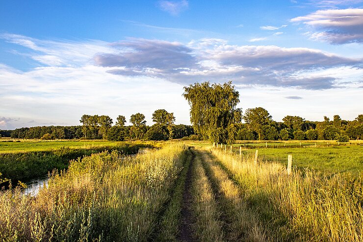 [Translate to English:] Felder Region Hannover