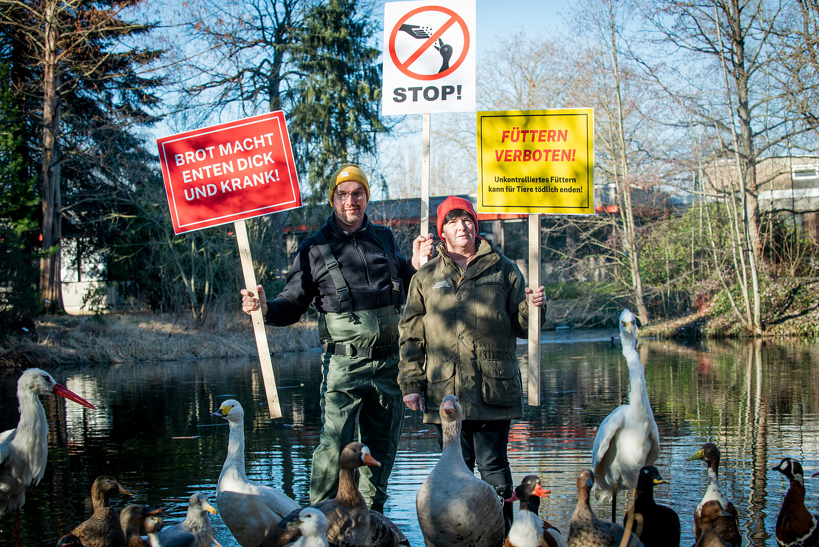 Wie wollen wir mit Wildtieren umgehen?