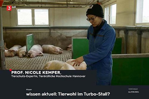 Professorin im Schweinestall