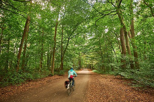 Radfahrer in der Eilenriede