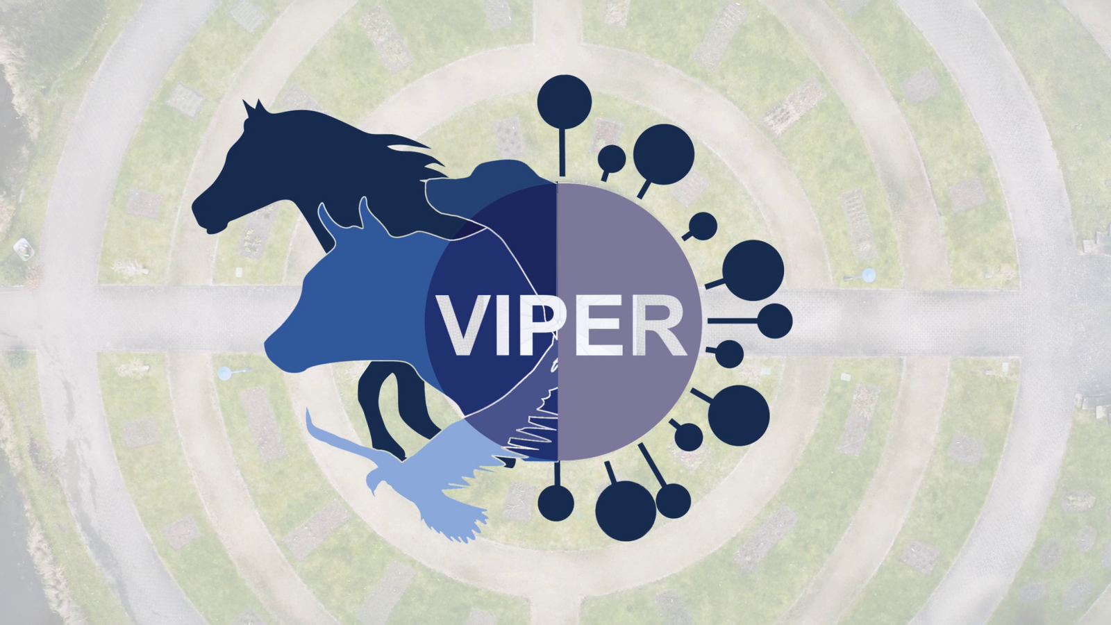 VIPER Film 2