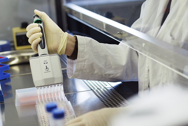 Arbeit an der Clean Bench