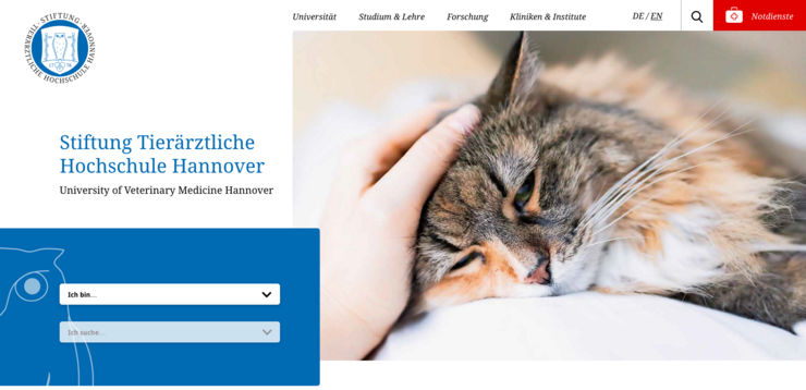 Beispieldarstellung
