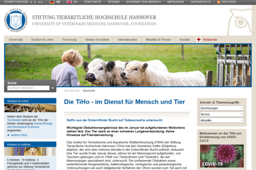 Screenshot der alten TiHo-Internetseite