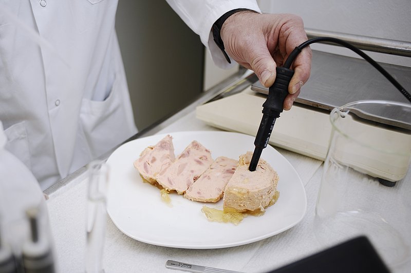 Sensorische Untersuchung im Institut für Lebensmittelqualität und -sicherheit 