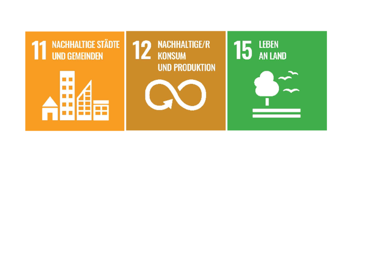 SDG Icons 11,12,15