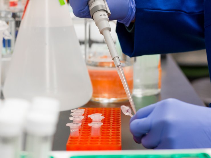 Pipettieren in Eppendorfgefäß Ein ensch pipettiert etwas in ein Eppendorfgefäß.