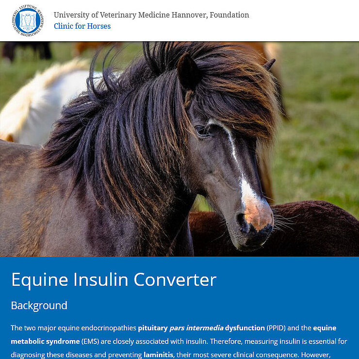 Screenshot der WebApp equine-insulin-converter.org