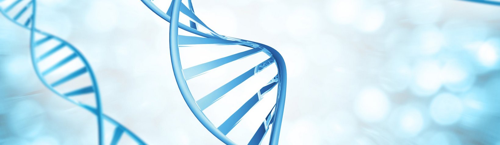 DNA