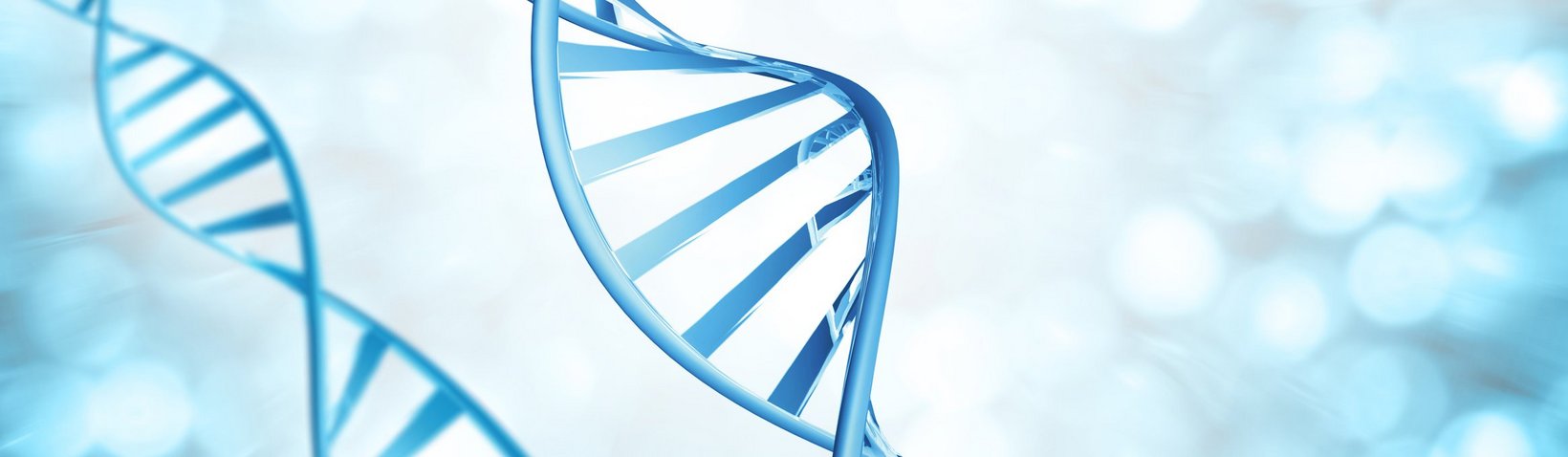 DNA