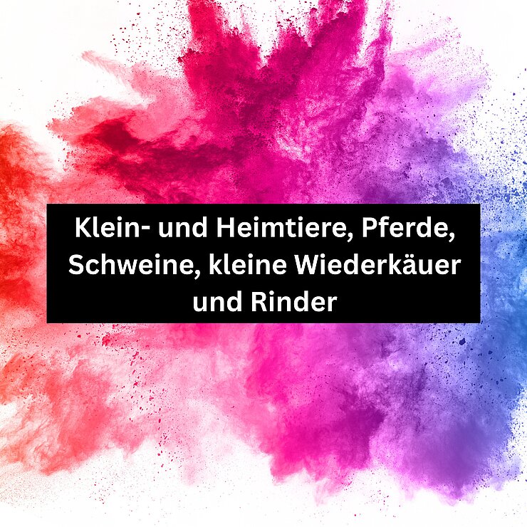 Info-Kachel