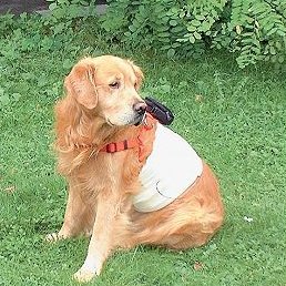 Retriever mit Messgerät