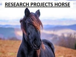 Research Projects Horse