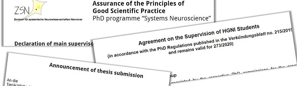 div. guidelines 