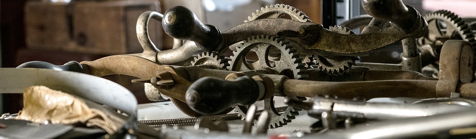 Blick in das veterinärmedizinhistorische Museum 