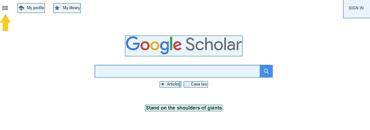 scholar google function
