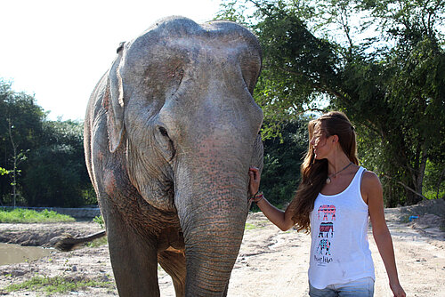 Elefant und Doktorandin Vanessa Klabouch