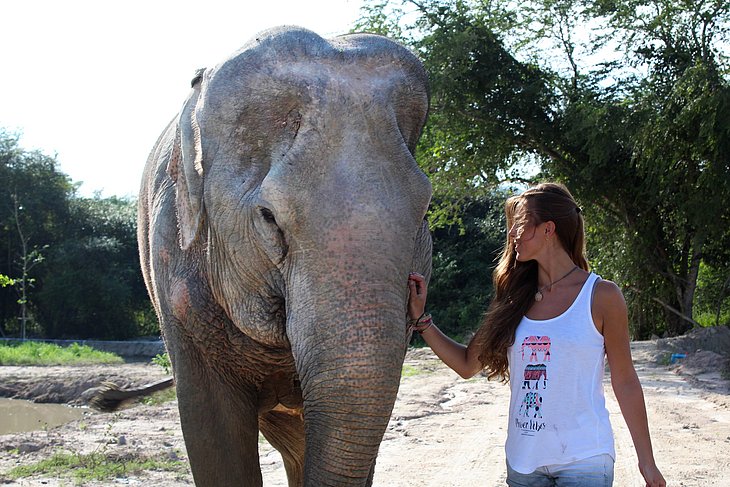 Elefant und Doktorandin Vanessa Klabouch