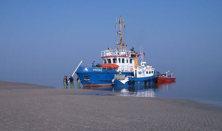 Ship on a sandbank for the study of seals