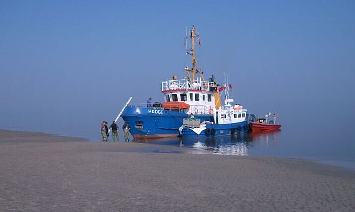 Schiff auf einer Sandbank zur Untersuchung von Seehunden
