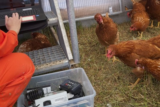 Foto: Hühner in einem Stall, ein Wissenschaftler*in mit Messtechnik.