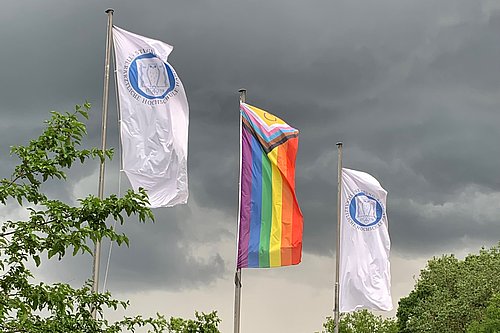 Zwei TiHo-Fahnen und eine Regenbogenflagge wehen im Wind.