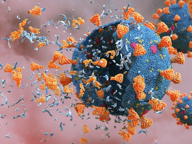 SARS-CoV-2 wird von Seife zerstört