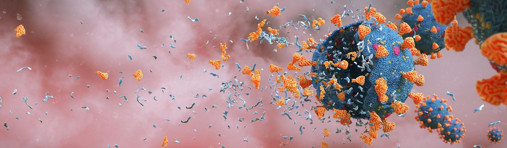 SARS-CoV-2 wird von Seife zerstört