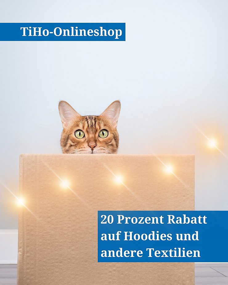 Rote Katze sitzt in Karton.