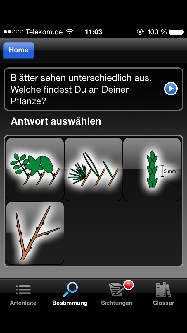 Biodiversitaet1_02.jpg