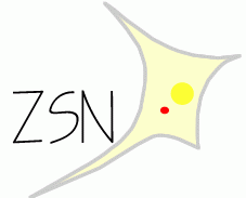 ZSN logo
