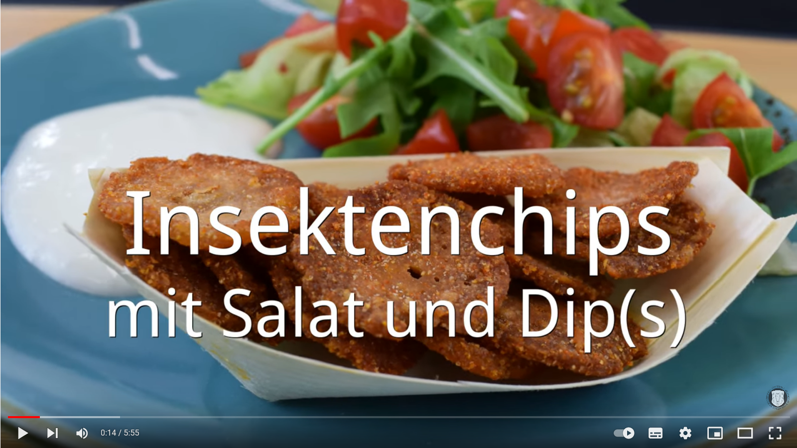 Screenshot des YouTube-Videos "Insektenchips mit Salat und Dip(s)