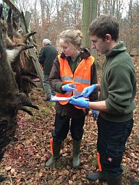 Probennahme nach der Jagd